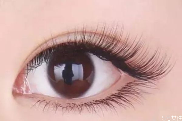 燙睫毛對(duì)睫毛有沒有損傷 燙睫毛會(huì)傷睫毛嗎