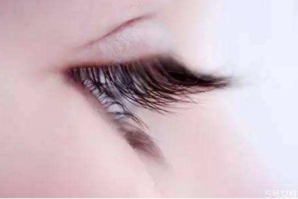 燙睫毛是什么 什么是燙睫毛和種睫毛 燙睫毛是什么 什么是燙睫毛和種睫毛