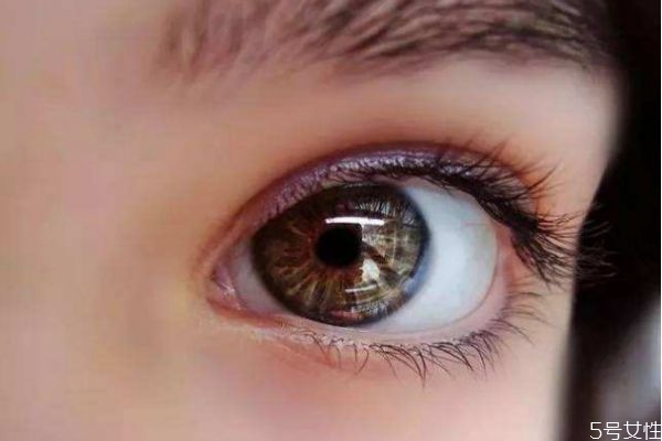 燙睫毛對(duì)睫毛有損傷嗎 燙了睫毛怎么恢復(fù)原狀 燙睫毛對(duì)睫毛有損傷嗎 燙了睫毛怎么恢復(fù)原狀