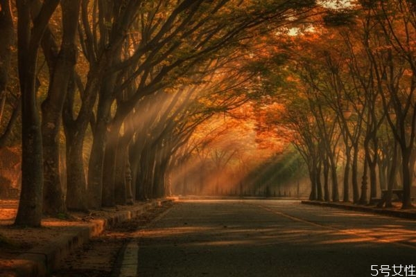 什么樣的男人值得你珍惜 值得珍惜的男人的特征 什么樣的男人值得你珍惜 值得珍惜的男人的特征