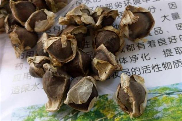 辣木籽可以長期吃嗎 辣木籽可以吞服嗎 辣木籽可以長期吃嗎 辣木籽可以吞服嗎