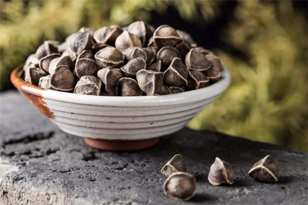 辣木籽孕婦可以吃嗎 辣木籽經(jīng)期能吃嗎 辣木籽孕婦可以吃嗎 辣木籽經(jīng)期能吃嗎