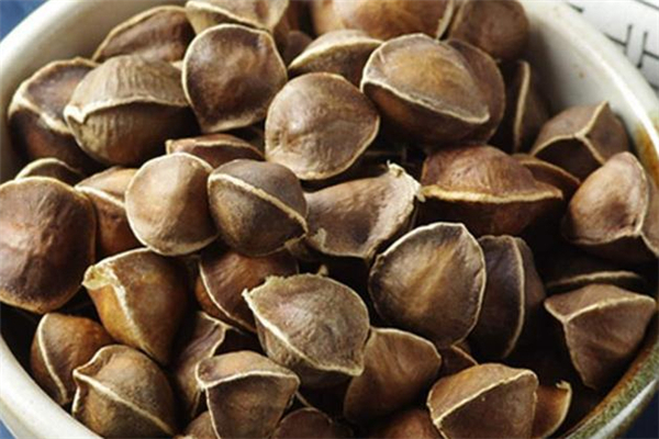 辣木籽中毒怎么辦 辣木籽吃多了怎么辦 辣木籽中毒怎么辦 辣木籽吃多了怎么辦