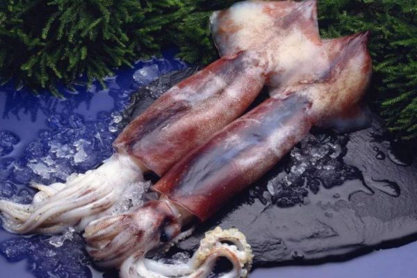 魷魚的熱量高嗎 減肥可以吃魷魚嗎 魷魚的熱量高嗎 減肥可以吃魷魚嗎