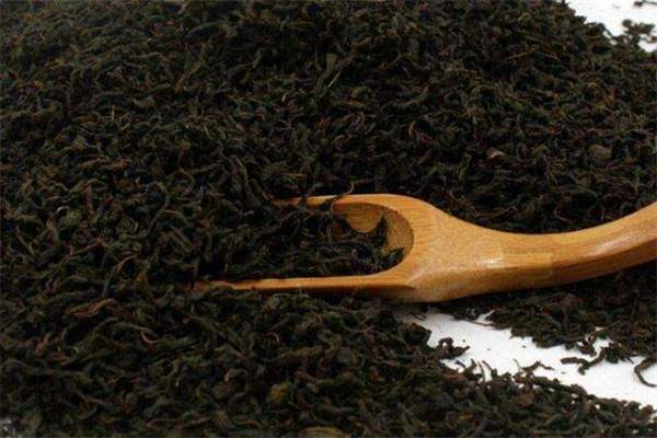 辣木茶怎么泡 辣木茶用多少度水泡 辣木茶怎么泡 辣木茶用多少度水泡