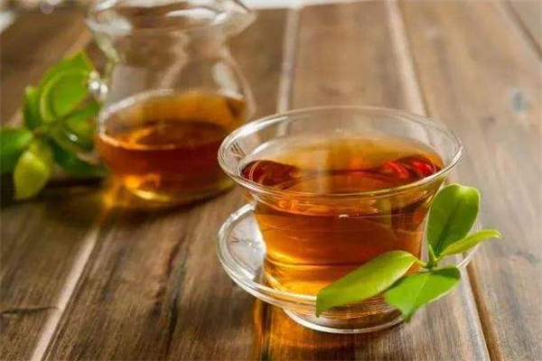 生地茶的功效與作用 生地茶有哪些禁忌 生地茶的功效與作用 生地茶有哪些禁忌