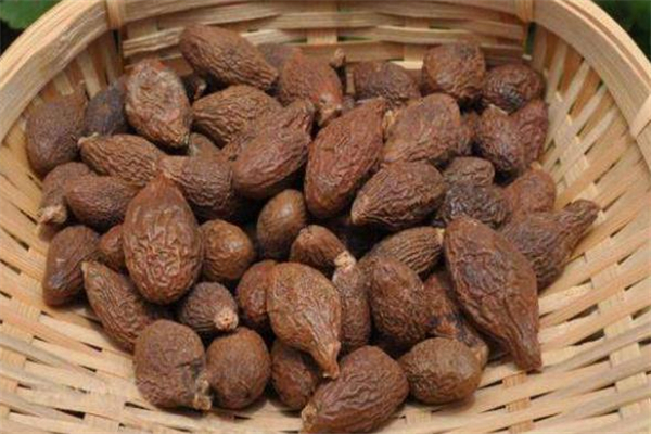 胖大?？梢灾温匝恃讍?胖大海可以治咳嗽嗎