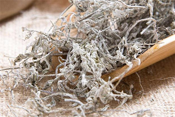 孕婦可以喝莓茶嗎 經(jīng)期可以喝莓茶嗎 孕婦可以喝莓茶嗎 經(jīng)期可以喝莓茶嗎