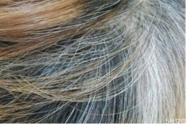 染發(fā)第二天洗有影響嗎 第一天染發(fā)第二天可以洗嗎 染發(fā)第二天洗有影響嗎 第一天染發(fā)第二天可以洗嗎