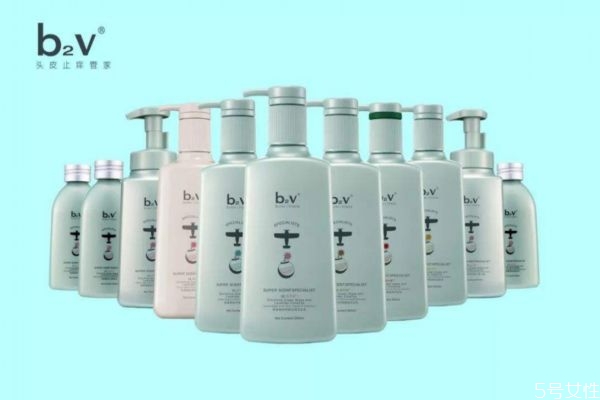 b2v是阿道夫公司的嗎 阿道夫和b2v哪個(gè)好 b2v是阿道夫公司的嗎 阿道夫和b2v哪個(gè)好