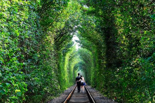 相親不合適如何禮貌拒絕 相親不合適怎么和男生說 相親不合適如何禮貌拒絕 相親不合適怎么和男生說