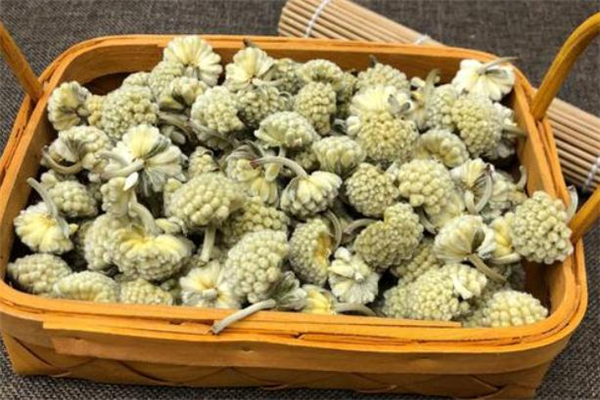 綠蘿花茶多少錢一斤 綠蘿花茶的禁忌 綠蘿花茶多少錢一斤 綠蘿花茶的禁忌