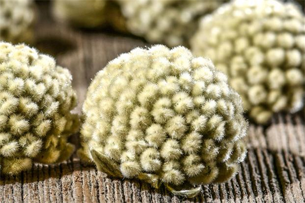 綠蘿花茶喝多了傷腎嗎 綠蘿花茶喝了上火嗎 綠蘿花茶喝多了傷腎嗎 綠蘿花茶喝了上火嗎