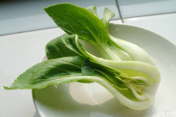 上海青可以生吃嗎 生吃上海青會怎么樣 上海青可以生吃嗎 生吃上海青會怎么樣