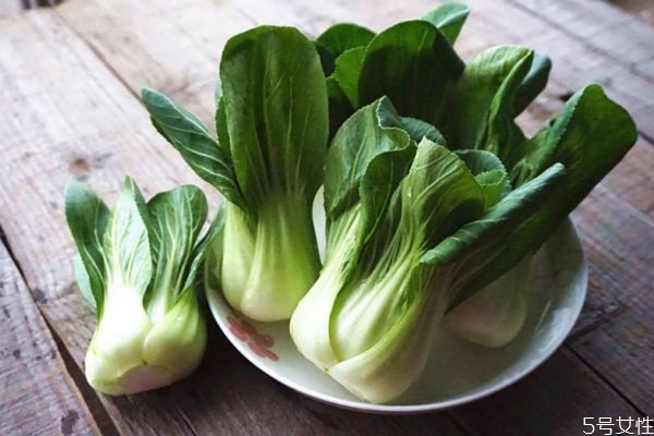 上海青有什么營養(yǎng)價(jià)值 吃上海青的好處有什么 上海青有什么營養(yǎng)價(jià)值 吃上海青的好處有什么