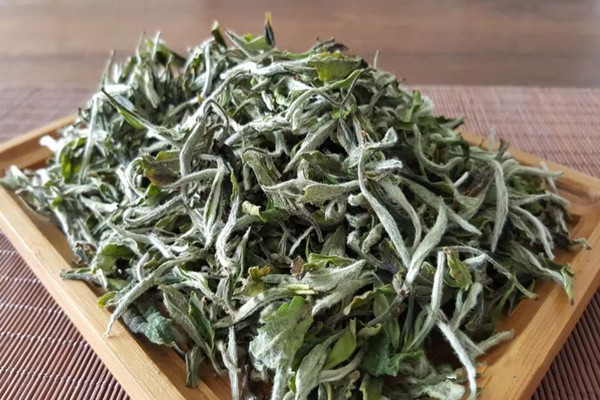 怎樣喝白牡丹茶減肥 喝白牡丹茶減肥要注意什么 怎樣喝白牡丹茶減肥 喝白牡丹茶減肥要注意什么