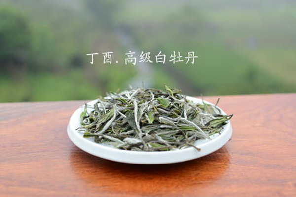 白牡丹茶有什么保健作用 白牡丹茶和貢眉哪個(gè)好 白牡丹茶有什么保健作用 白牡丹茶和貢眉哪個(gè)好