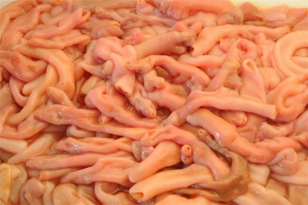 海腸可以生吃嗎 海腸怎么生吃 海腸可以生吃嗎 海腸怎么生吃