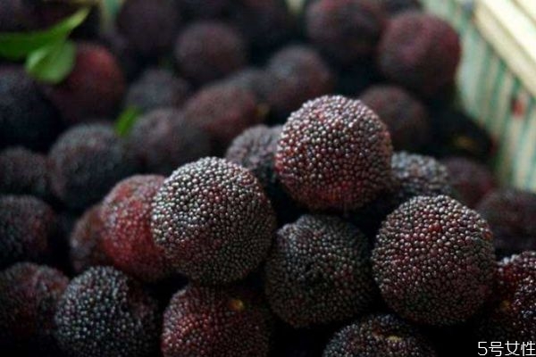 怎么挑選楊梅 挑選楊梅的方法 怎么挑選楊梅 挑選楊梅的方法