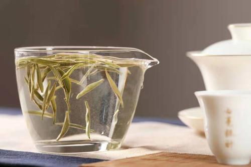 福鼎白茶降火的原理 福鼎白茶什么人不能喝 福鼎白茶降火的原理 福鼎白茶什么人不能喝