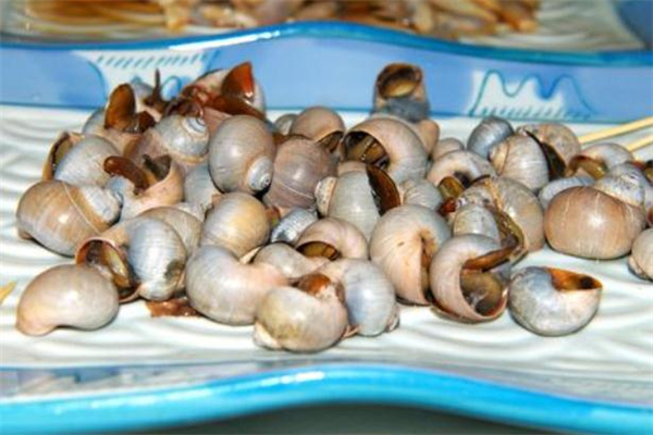 香螺尾部能吃嗎 香螺尾部是黃嗎 香螺尾部能吃嗎 香螺尾部是黃嗎