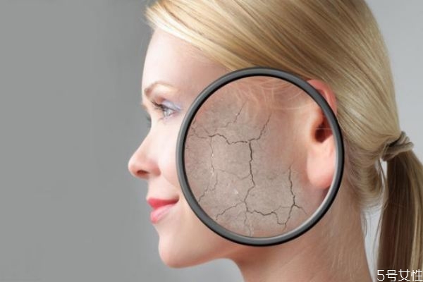 潔面后要馬上護膚嗎 潔面以后的護膚步驟 潔面后要馬上護膚嗎 潔面以后的護膚步驟