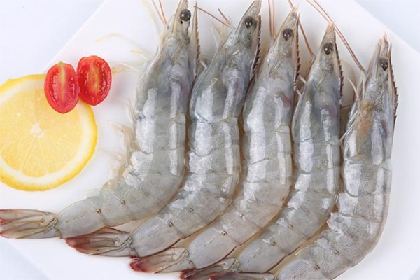 白蝦不能和什么一起吃 白蝦什么人不能吃 白蝦不能和什么一起吃 白蝦什么人不能吃