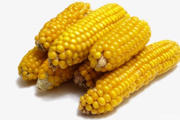 玉米可以減肥嗎 玉米有減肥的功效嗎 玉米可以減肥嗎 玉米有減肥的功效嗎