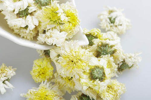 喝貢菊花的好處 貢菊怎樣區(qū)分 喝貢菊花的好處 貢菊怎樣區(qū)分