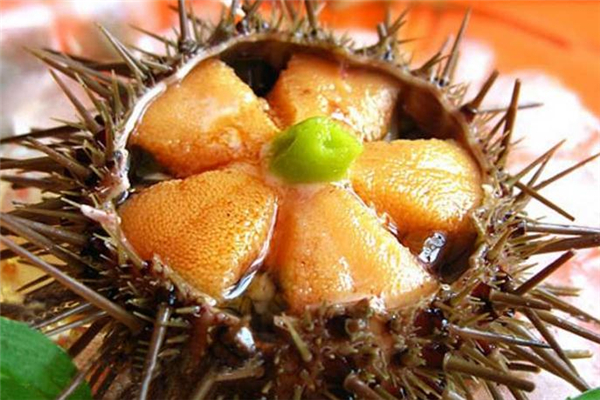 海膽刺身的熱量 海膽刺身好吃嗎 海膽刺身的熱量 海膽刺身好吃嗎