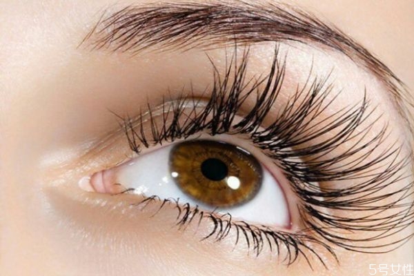 嫁接的睫毛可以用睫毛夾嗎 嫁接的睫毛可以涂睫毛膏嗎 嫁接的睫毛可以用睫毛夾嗎 嫁接的睫毛可以涂睫毛膏嗎