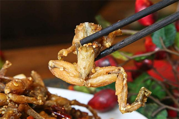 火雞和普通雞肉有什么區(qū)別 火雞和雞肉口感哪個好