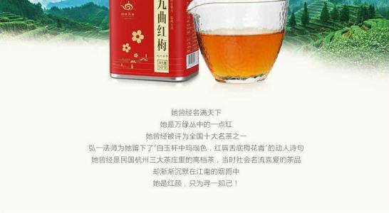 九曲紅梅的外形是怎樣的 九曲紅梅是怎樣的香味 九曲紅梅的外形是怎樣的 九曲紅梅是怎樣的香味