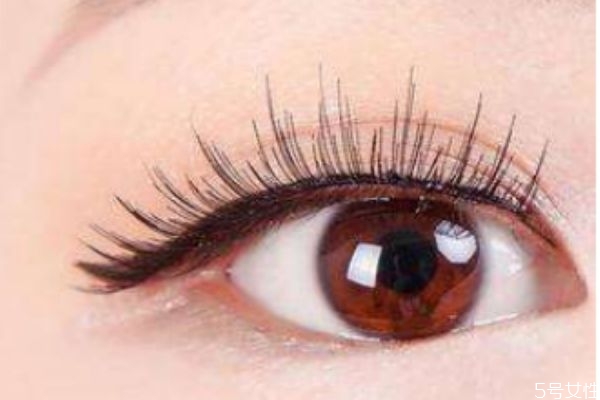 新手怎么買(mǎi)假睫毛 幾步快學(xué)貼假睫毛 新手怎么買(mǎi)假睫毛 幾步快學(xué)貼假睫毛