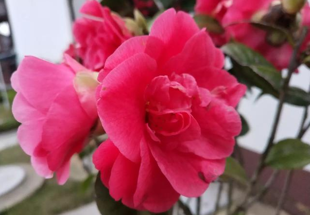 什么因素對獲得幸福很重要 什么因素對獲得幸福很重要