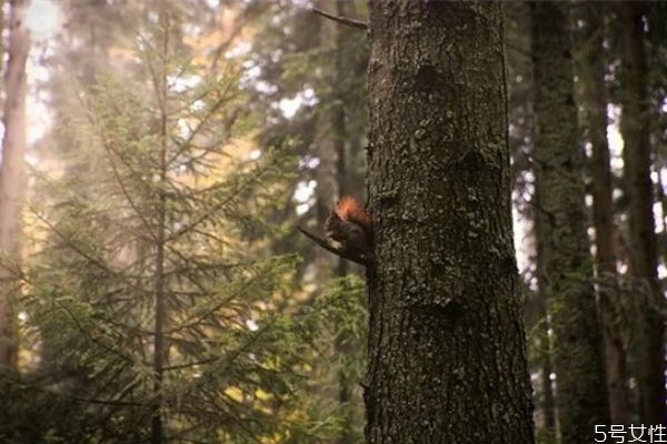 二婚搭伙過日子的婚姻表現(xiàn) 二婚兩地分居婚姻能持久嗎 二婚搭伙過日子的婚姻表現(xiàn) 二婚兩地分居婚姻能持久嗎