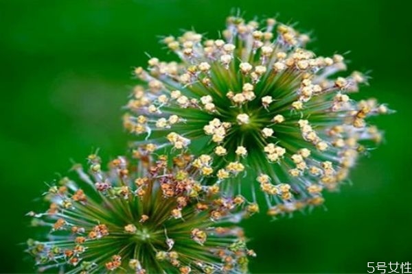 男人說性格不合會復(fù)合嗎 性格不合分手能和好嗎 男人說性格不合會復(fù)合嗎 性格不合分手能和好嗎