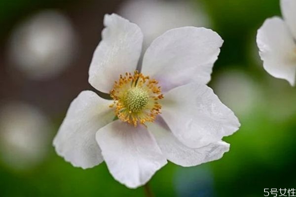 怎么放下老公出軌的事 如何面對(duì)老公出軌后的婚姻