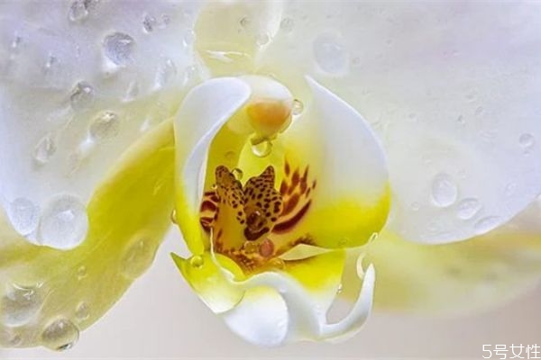 老公愛上了小三怎么辦 分離老公和小三的方法 老公愛上了小三怎么辦 分離老公和小三的方法