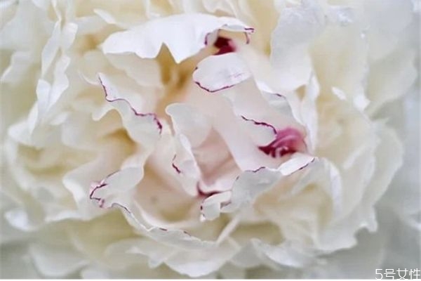 知道丈夫出軌又不想離婚怎么辦 怎樣放下老公出軌的事 知道丈夫出軌又不想離婚怎么辦 怎樣放下老公出軌的事