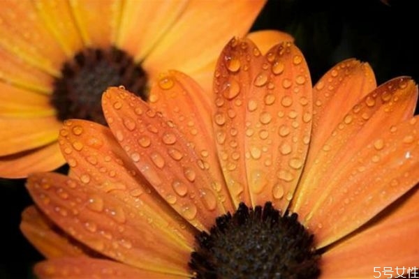 老公愛上了小三怎么辦 分離老公和小三的方法 老公愛上了小三怎么辦 分離老公和小三的方法