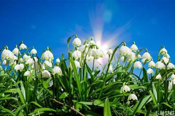 死纏爛打的小三怎么處理 原配對(duì)付小三的絕妙方法