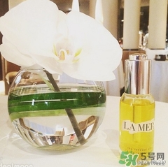 lamer海藍(lán)之謎精華油多少錢？海藍(lán)之謎renewal oil面油價格