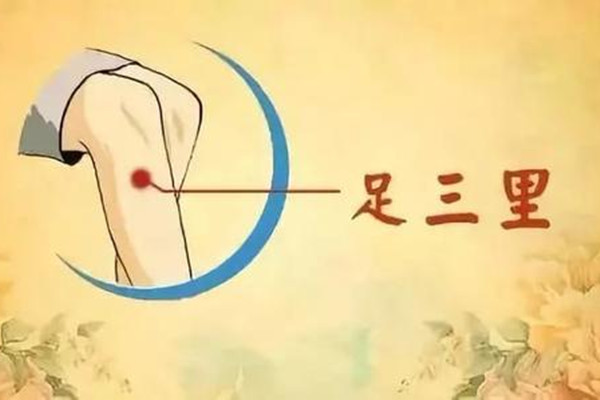 足三里的針灸作用 足三里可以經(jīng)常做針灸嗎 足三里的針灸作用 足三里可以經(jīng)常做針灸嗎
