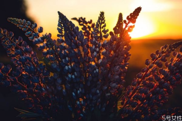 男女之間是怎么確定關(guān)系的 教你如何確定你們的關(guān)系 男女之間是怎么確定關(guān)系的 教你如何確定你們的關(guān)系