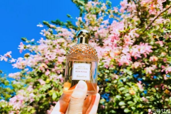 清新花果香味的香水有哪些 好聞的果香味香水推薦 清新花果香味的香水有哪些 好聞的果香味香水推薦