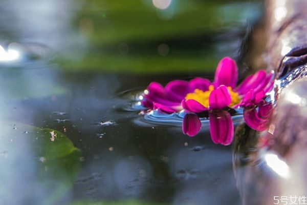 網(wǎng)上相親成功的多嗎 相親成功技巧 網(wǎng)上相親成功的多嗎 相親成功技巧