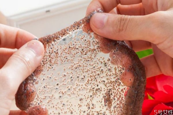 顆粒海藻面膜會不會過期 過期的海藻面膜有什么妙用 顆粒海藻面膜會不會過期 過期的海藻面膜有什么妙用