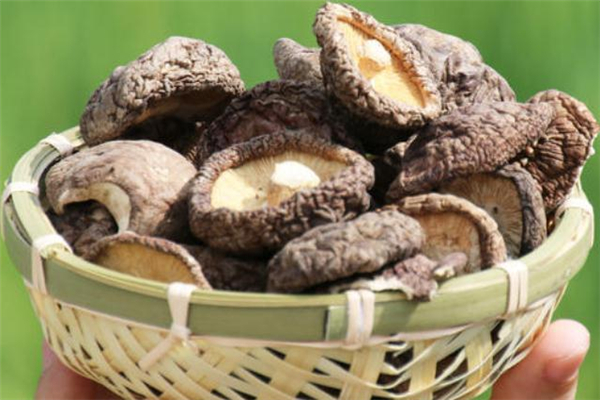冬菇是香菇嗎 冬菇和香菇的區(qū)別 冬菇是香菇嗎 冬菇和香菇的區(qū)別