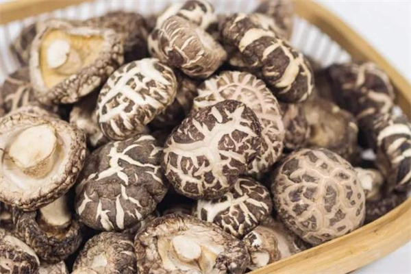 孕婦可以吃冬菇嗎 冬菇適合什么人吃 孕婦可以吃冬菇嗎 冬菇適合什么人吃